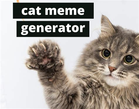 cat meme generator